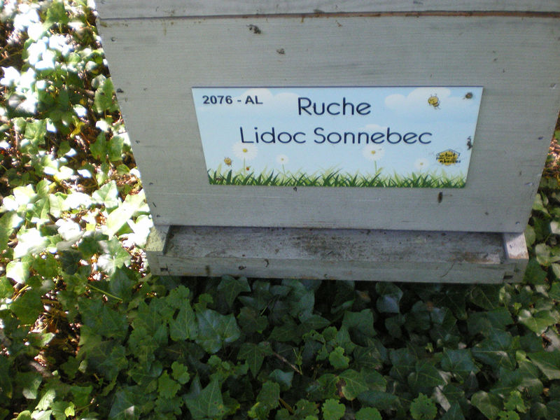 La ruche Lidoc Sonnebec